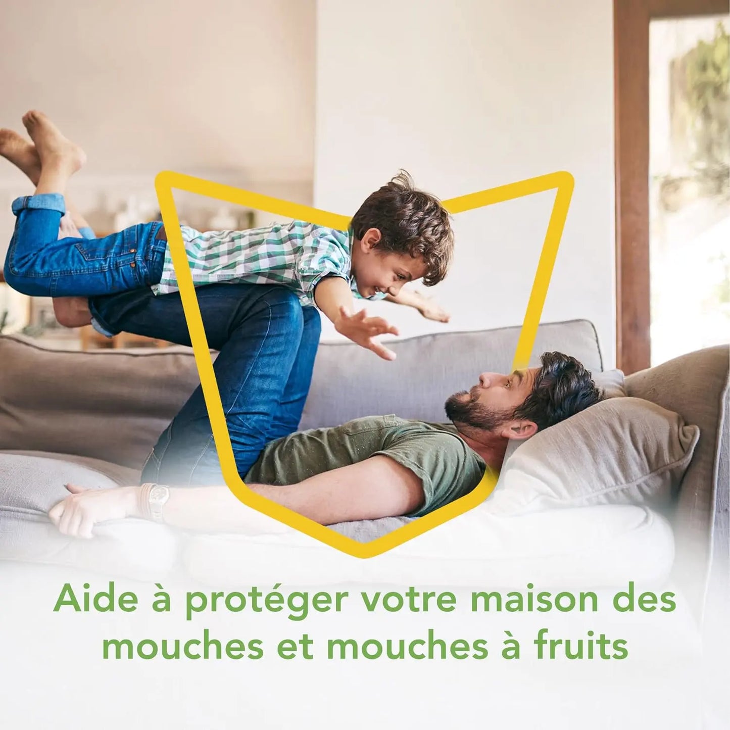 Raid Essentials Piège Mouches Stickers - 6 Mois, Sans Parfum - Cpourtoi.Net