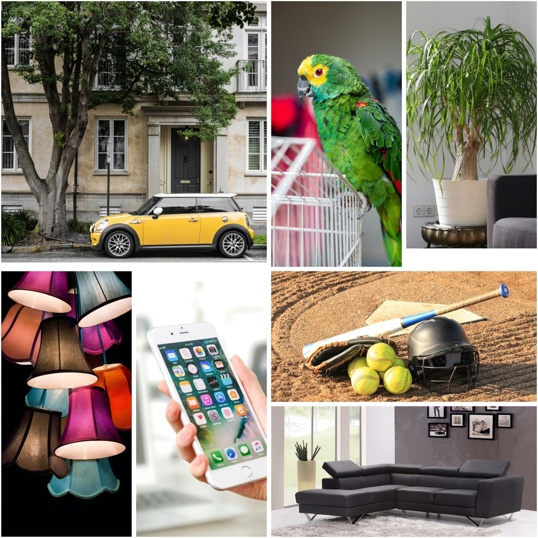 a collage of photos including a couch, a car, a tree, a