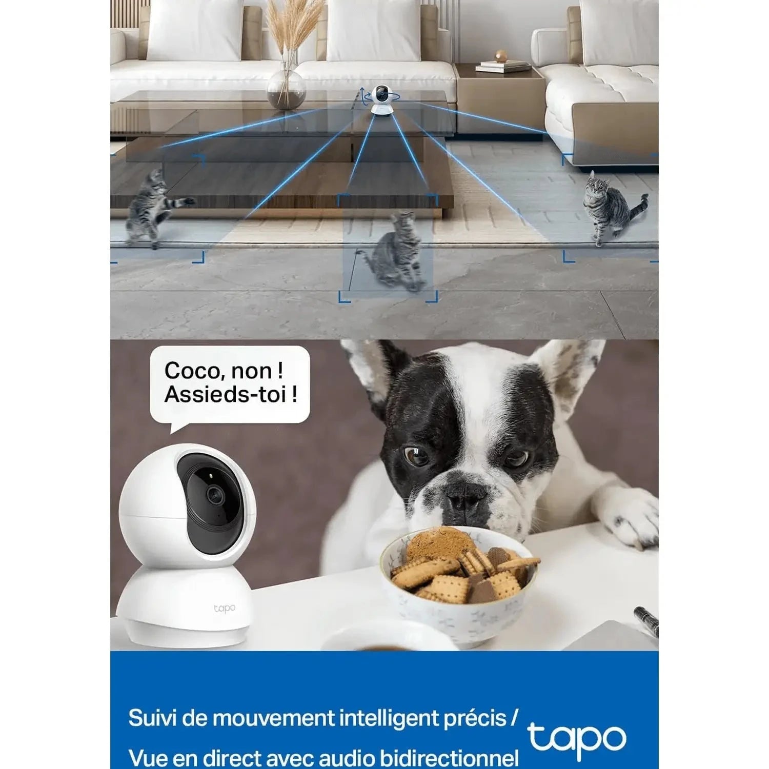 Surveillance Intelligente - Découvrez les Avantages de la Tapo C210