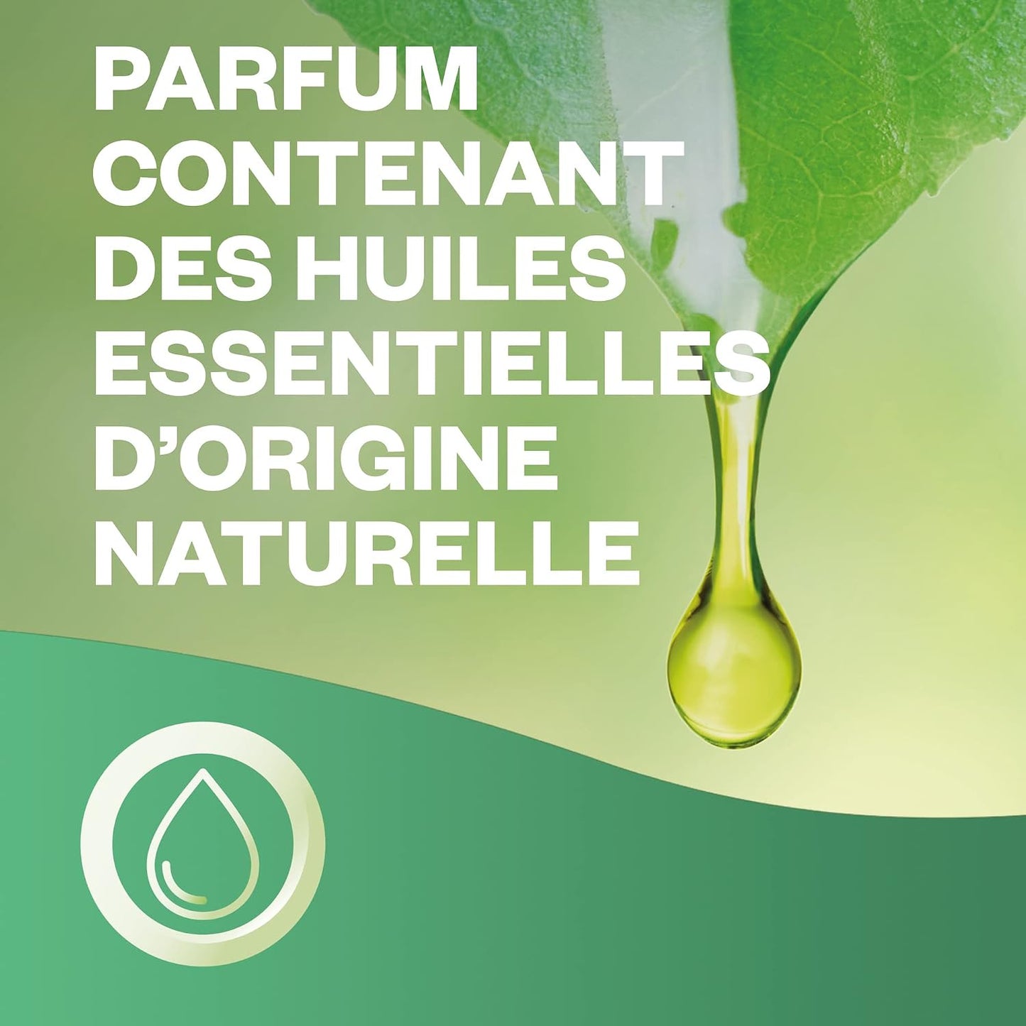 Air Wick Diffuseur d’huiles Essentielles Brume Parfumée+ 2 Recharges 20 ml Parfum Lavande et Eucalyptus