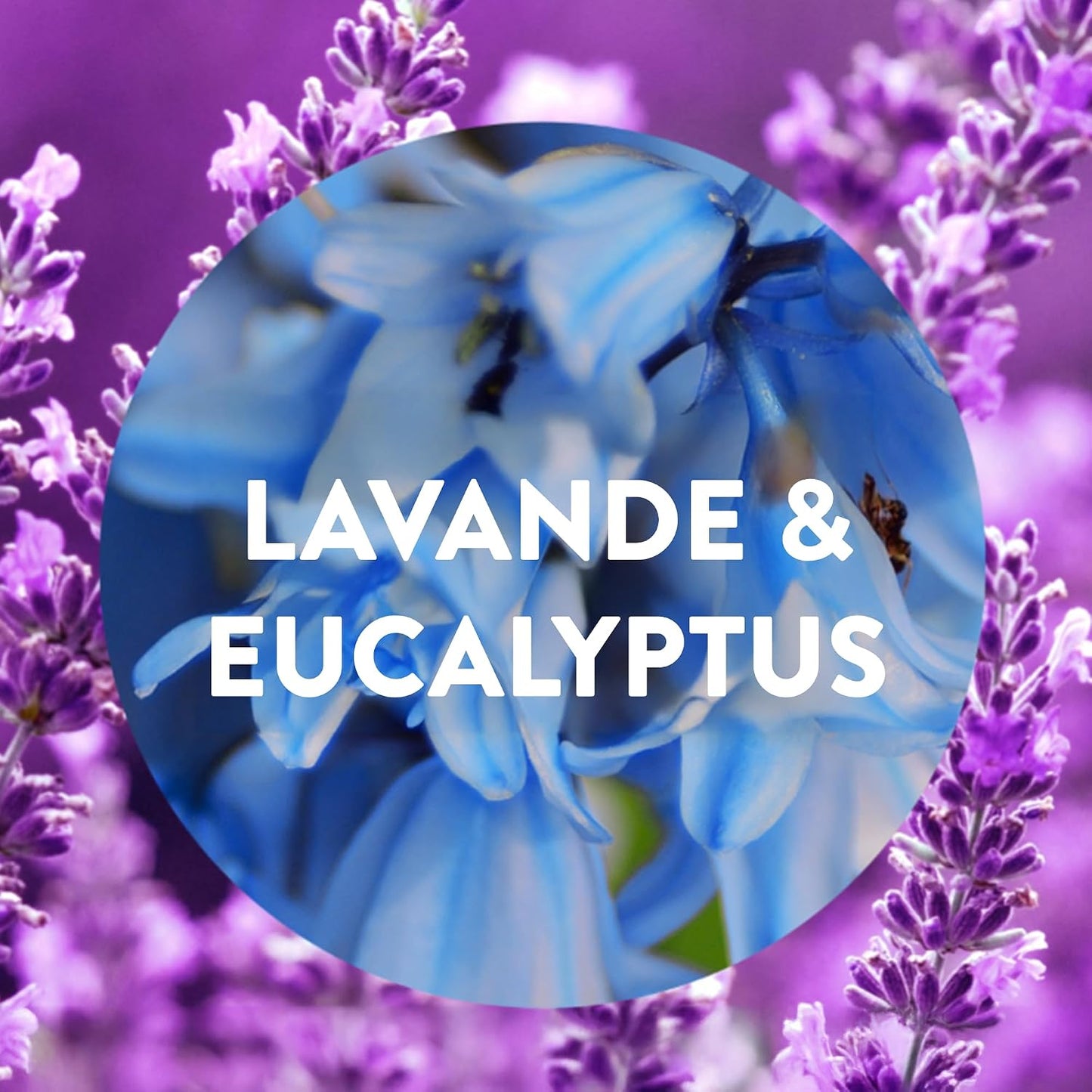 Air Wick Diffuseur d’huiles Essentielles Brume Parfumée+ 2 Recharges 20 ml Parfum Lavande et Eucalyptus