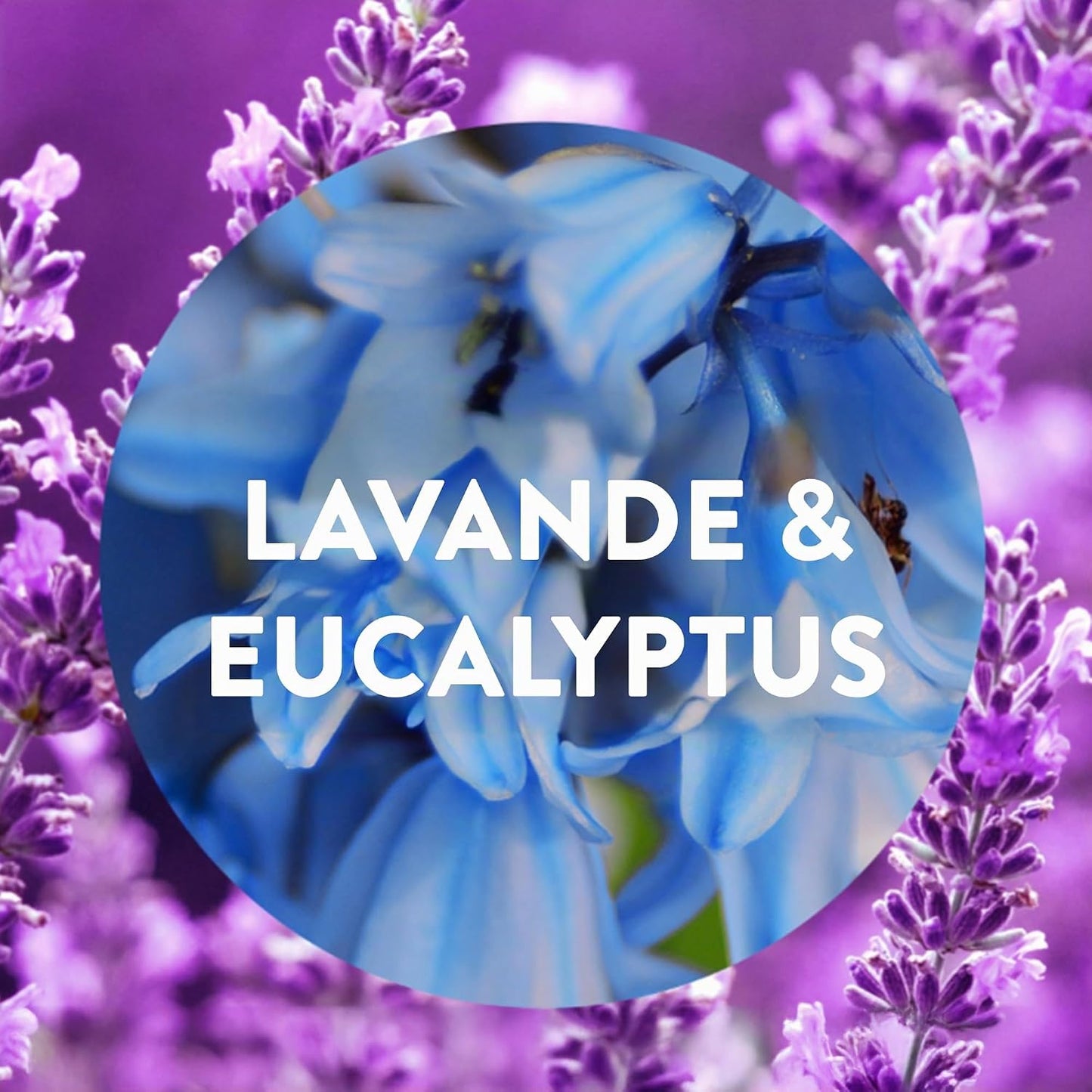 Air Wick Diffuseur d’huiles Essentielles Brume Parfumée+ 2 Recharges 20 ml Parfum Lavande et Eucalyptus
