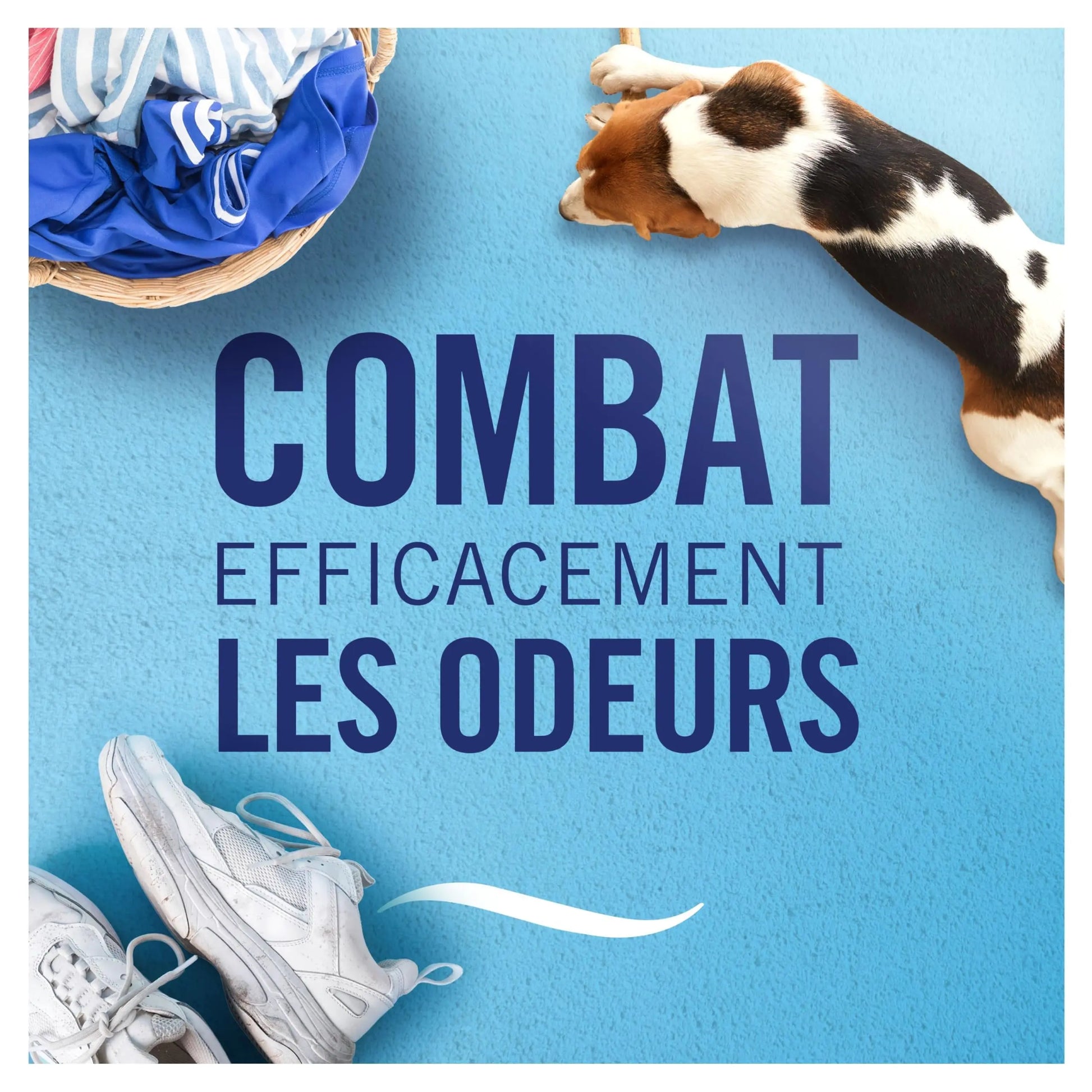 FEBREZE 3VOLUTION DIFFUSEUR ELECTRIQUE SOUFLE PRECIEUX - Cpourtoi.Net