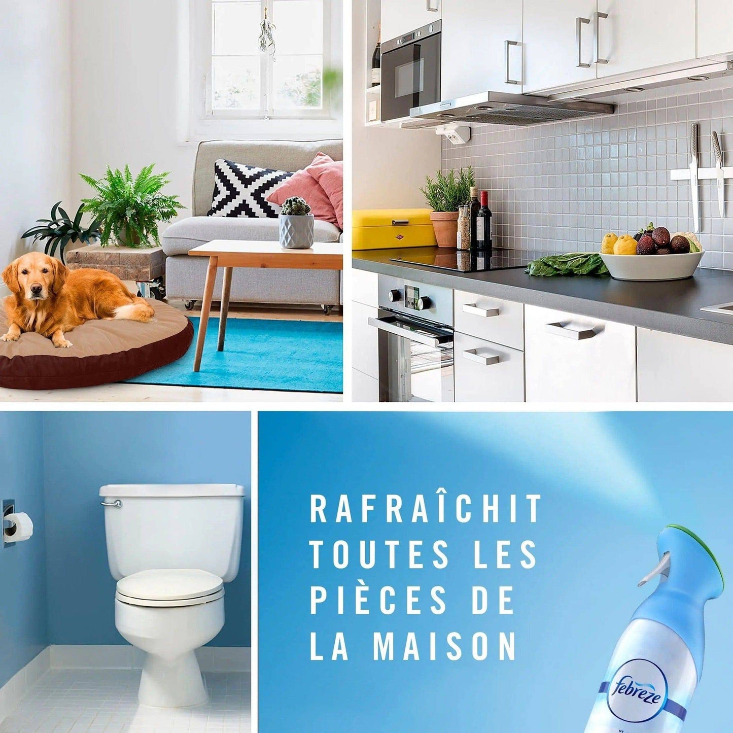 Brume d'air Febreze Rosée Matin - Neutralise Odeurs, Fraîcheur Durable - Cpourtoi.Net