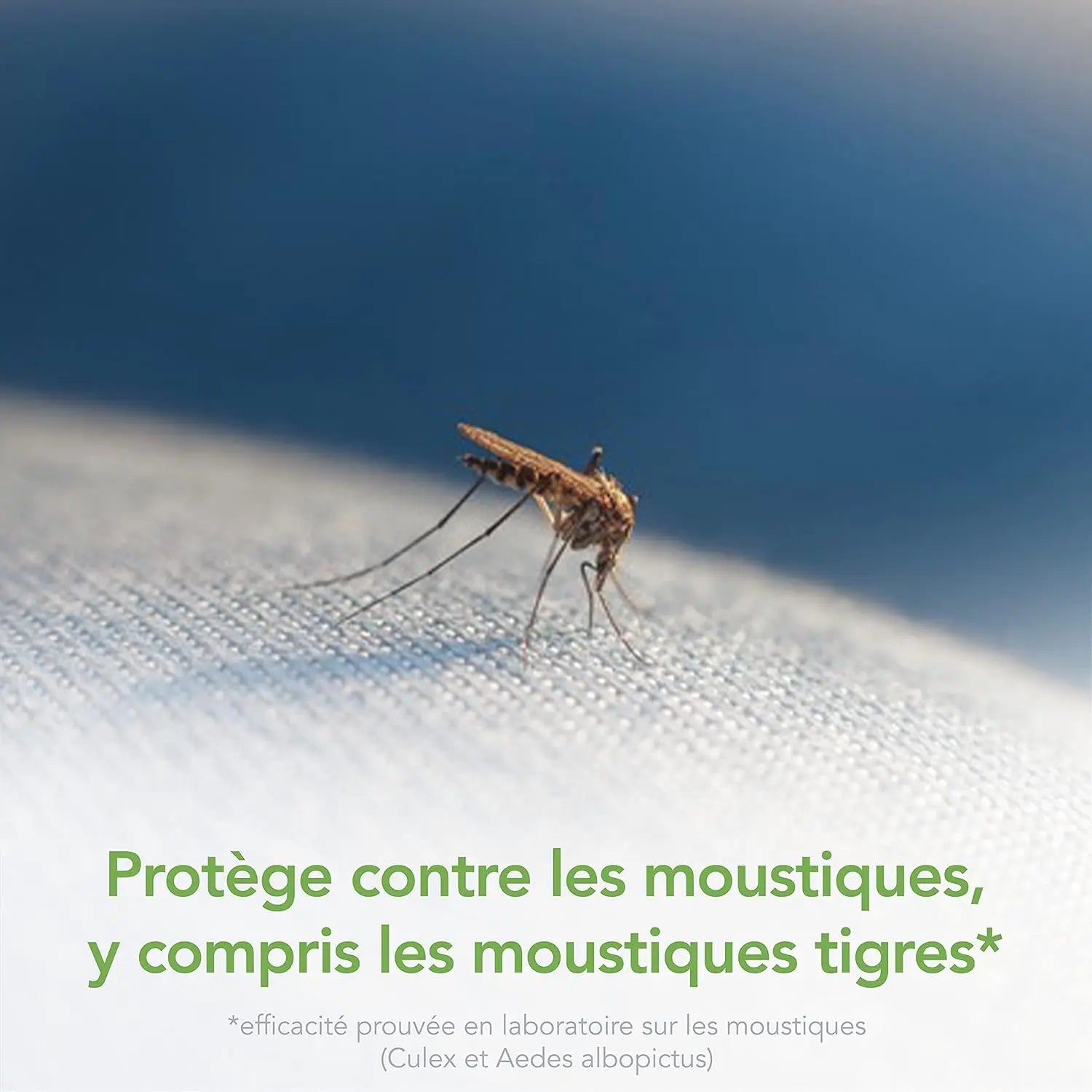 Raid Essentials Diffuseur Tigres - Protection Durable et Confort pour Toute la Famille - Cpourtoi.Net
