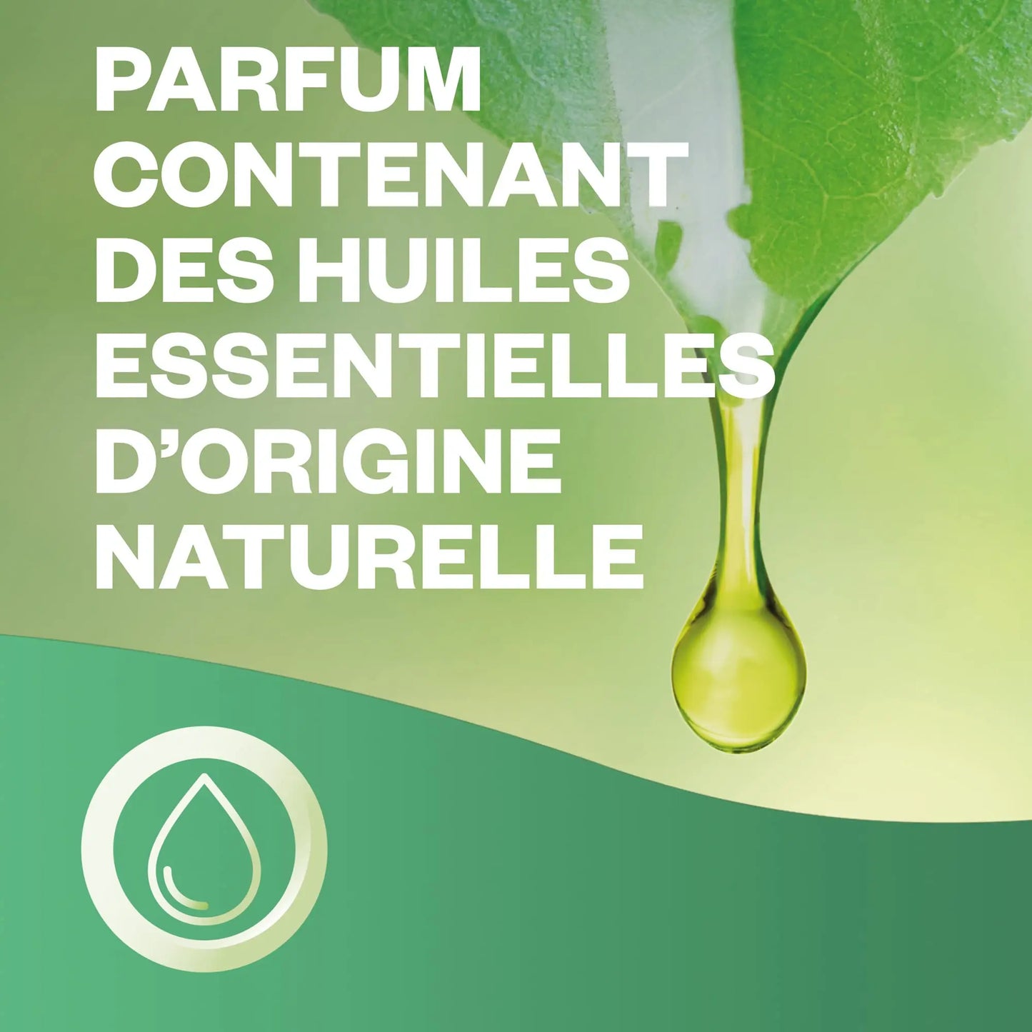 RECHARGE AIRWICK rose apaisante - huiles essentielles - 20 ml, lot de 3 - Cpourtoi.Net