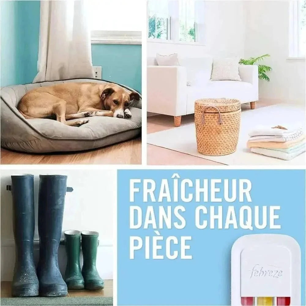 Recharge Febreze Fleur De Lys - Ambiance Florale Durable - Cpourtoi.Net