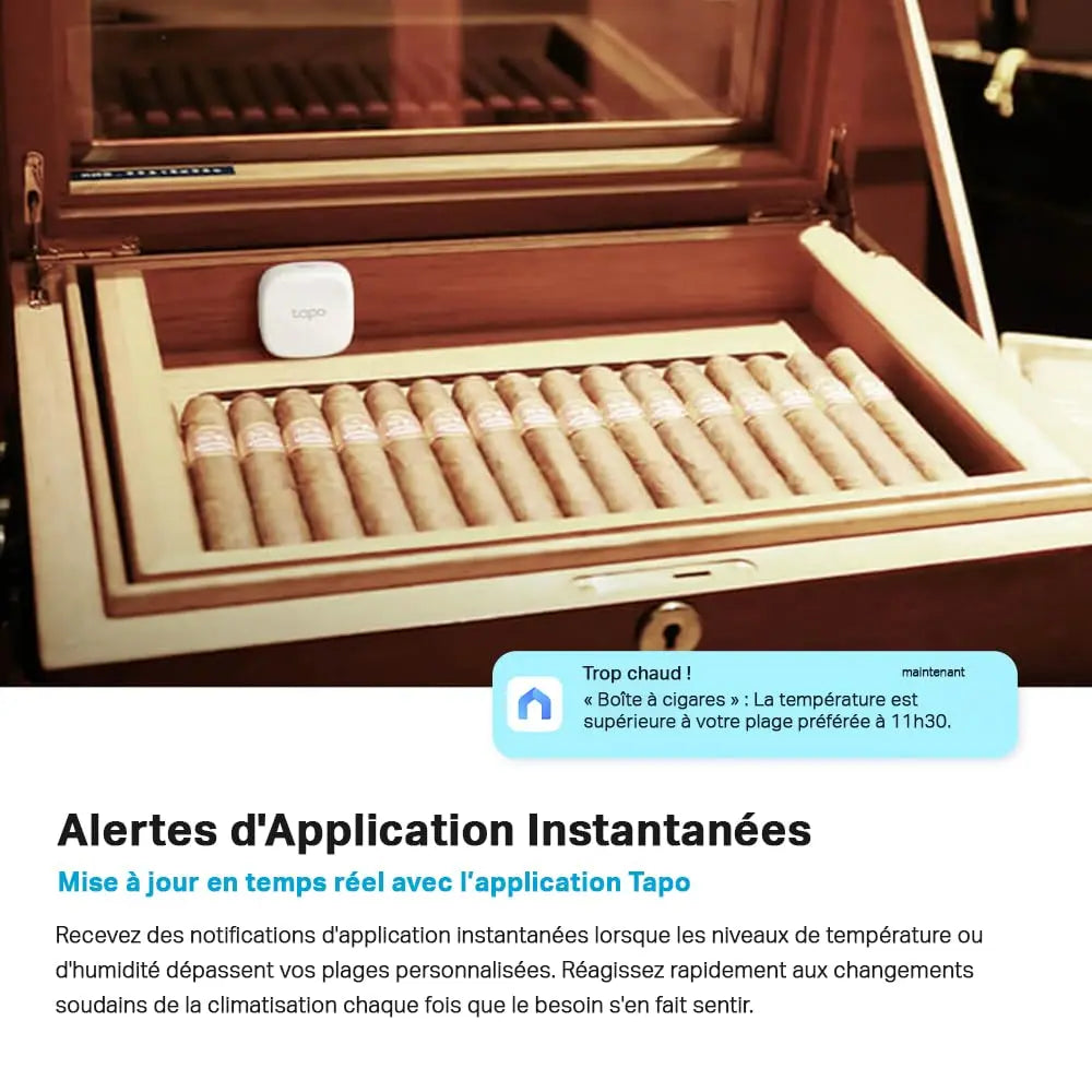 Tapo T100 Détecteur de Mouvement Intelligent, Détection à Large Portée, Allumage Automatique des Lumières, Compatible Alexa et Google Home, Batterie Longue Durée, Programmable, Hub requis - Cpourtoi.Net